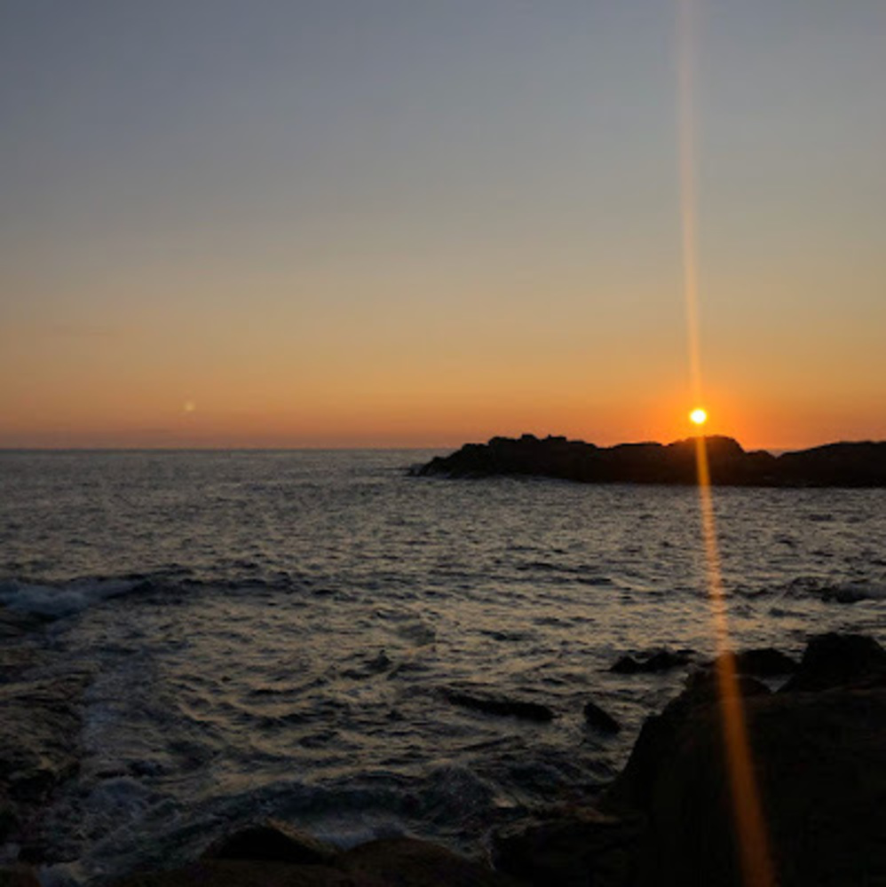 Meet your Posher, Maddison